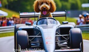 F1 Pyredoodle